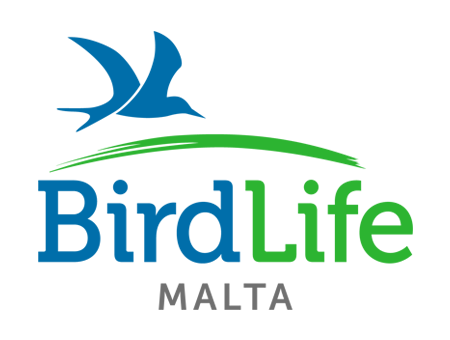 BirdLife Malta Ringing Scheme