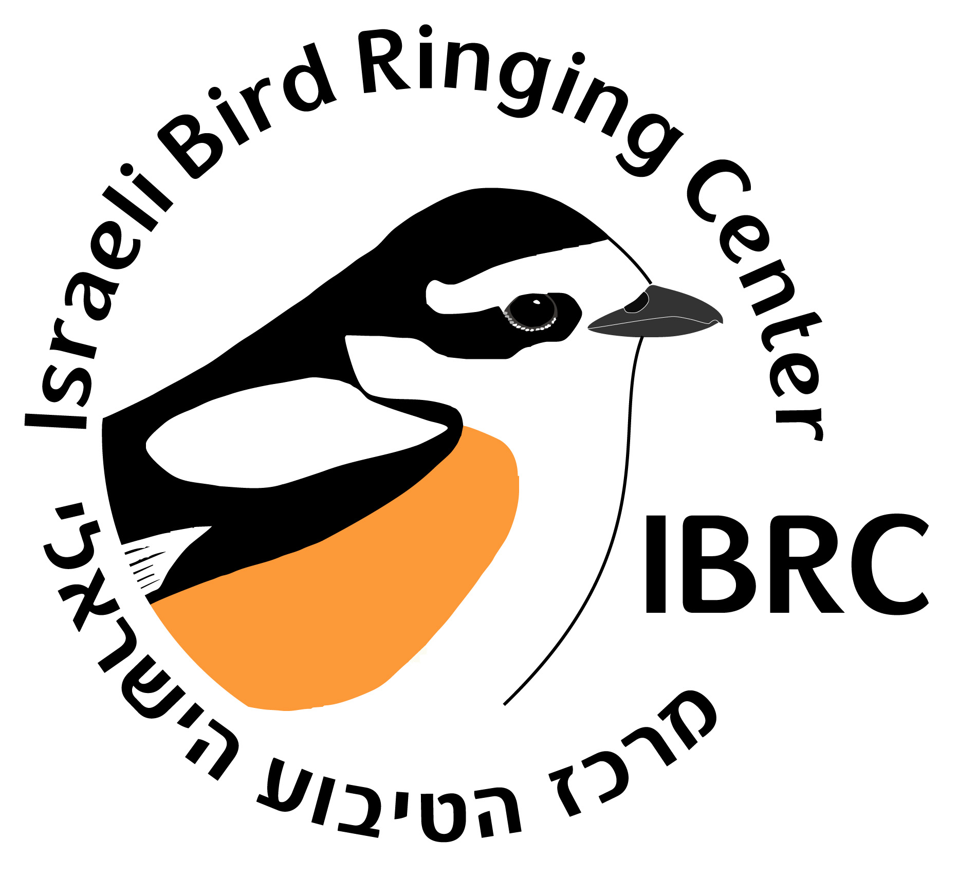 Israeli Bird Ringing Scheme logo