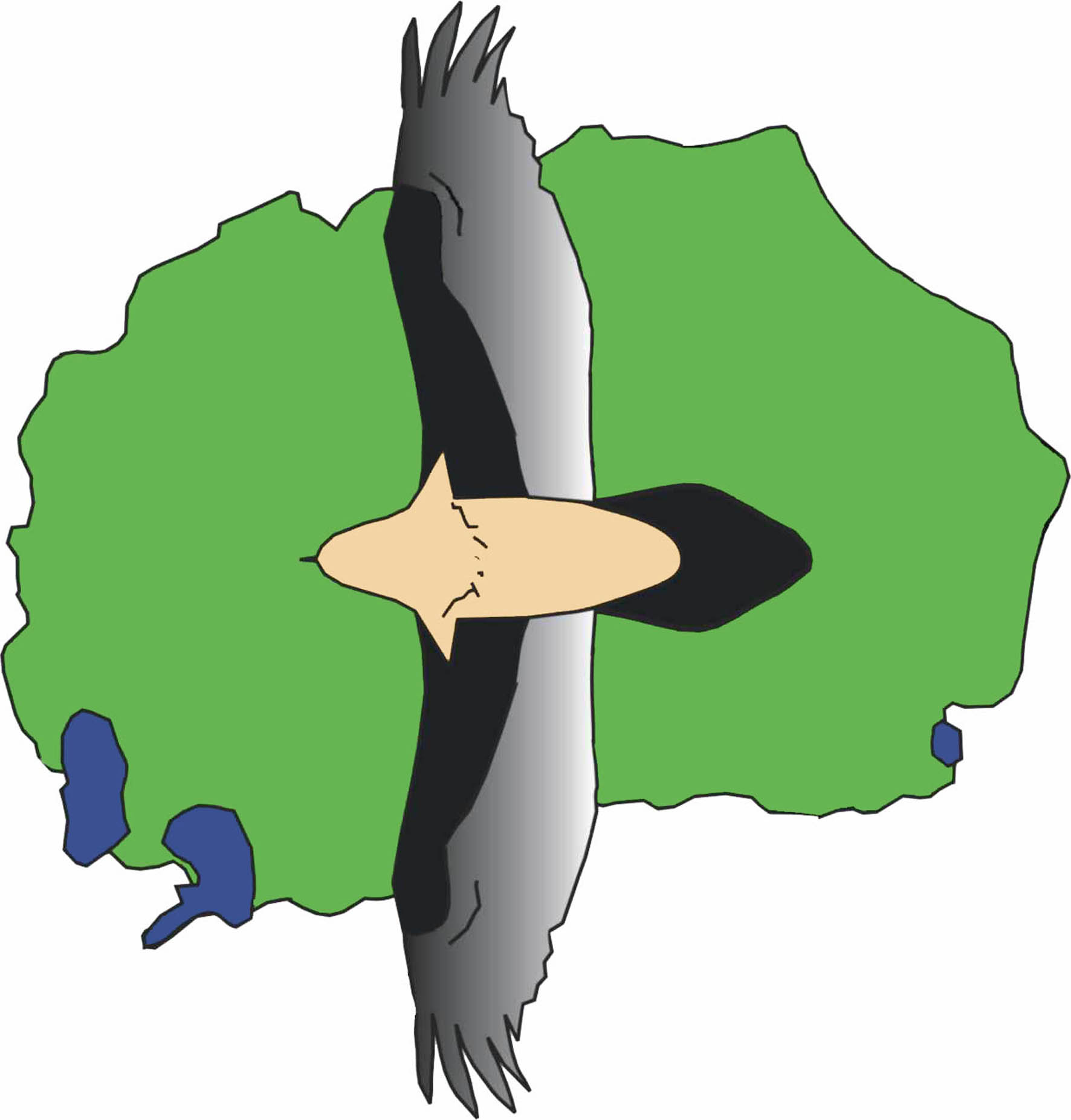 Logo of Bird Protection Macedonia