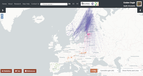 Example of gridded data for a sensitive species