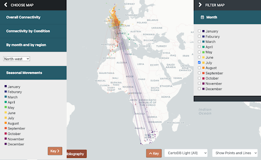 Figure 1. In this example for Barn Swallow Hirundo rustica encountered in the North-west region in June, the lines and points for most corresponding 'destination' encounters in southern Africa are coloured in the purple spectrum, indicating Dec-Feb. Or in other words, breeding Barn Swallows from the North-west region spend the non-breeding season in southern Africa.